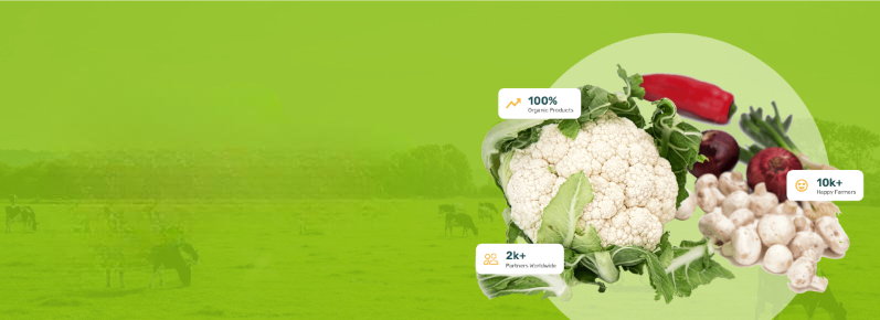 Active Directory Desde Cero en Colombia: Guía Completa para la Gestión de TI